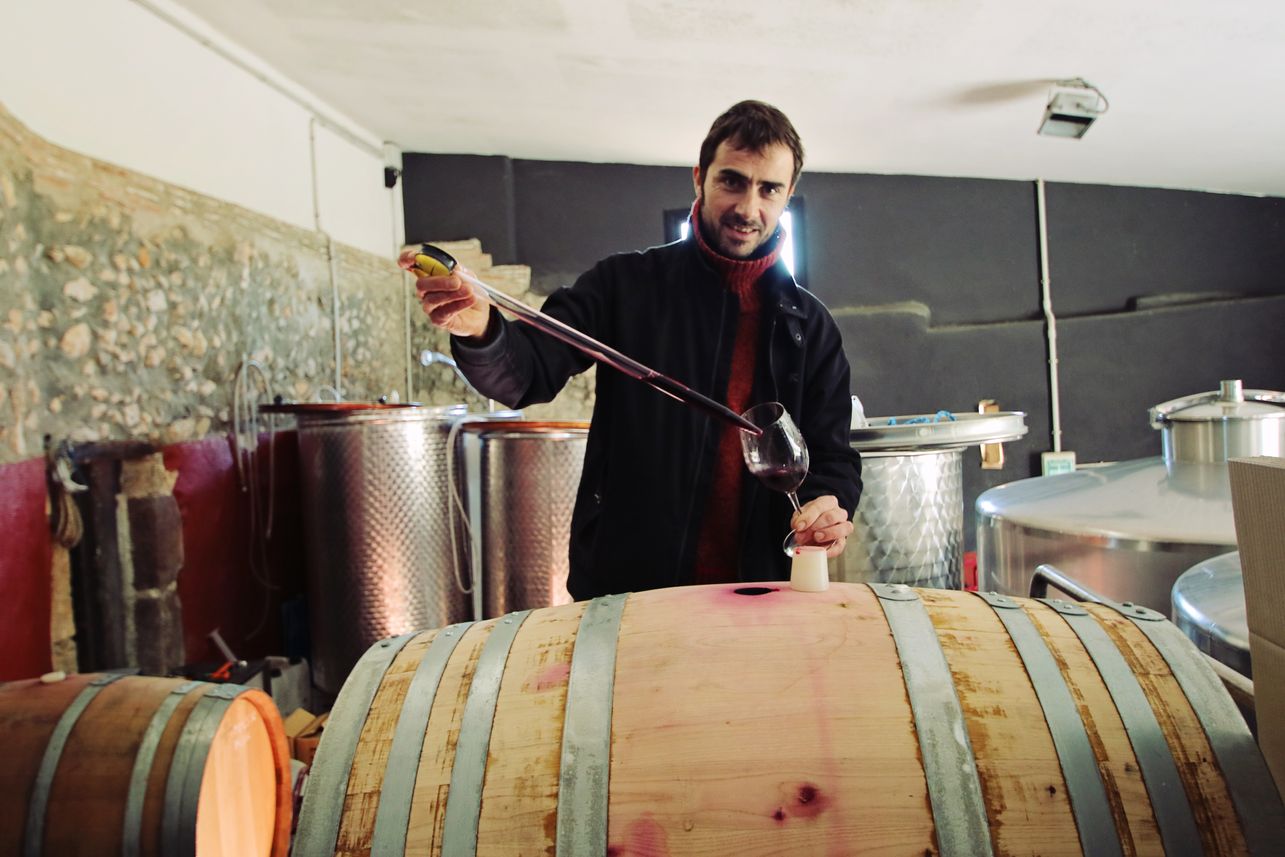Valldolina, 'Uvala', Ancestral Xarel·lo – VinoVi&Co