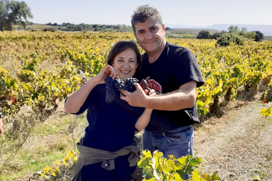 UVA DE VIDA