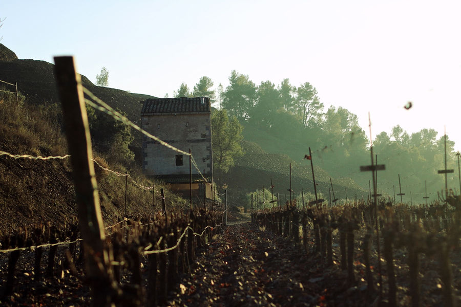 Blai Ferré, 'Ona' Priorat