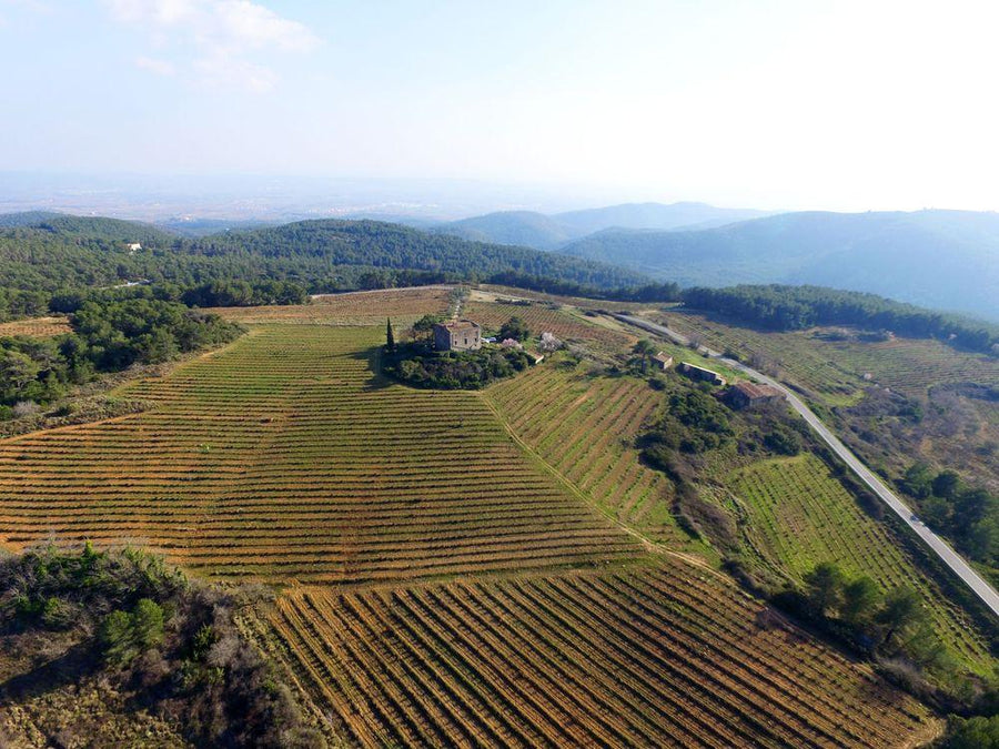 Can Sumoi, 'Ancestral Montònega'