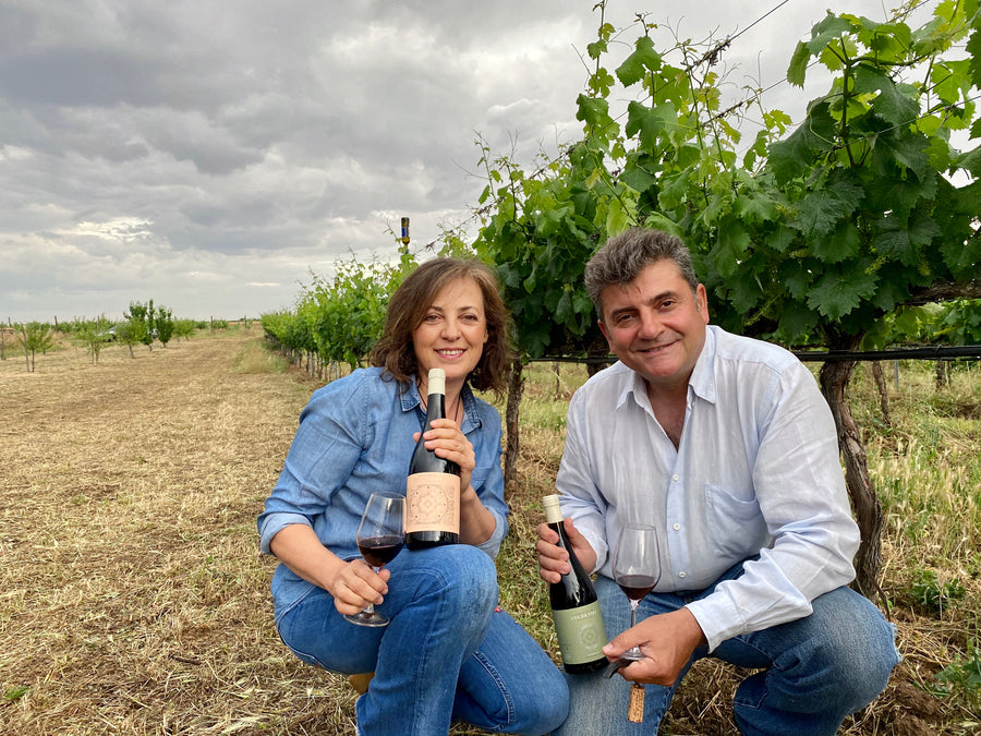 Uva de Vida 'Biográfico Tinto'