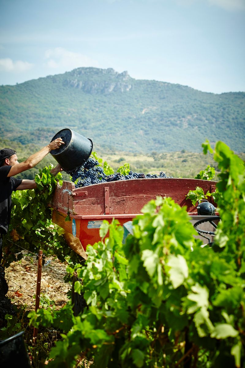 Le Clos du Serres, 'Les Maros'