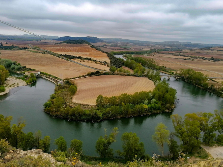 Artuke, 'Finca de los Locos'